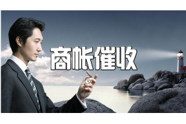 洛南企业清欠服务